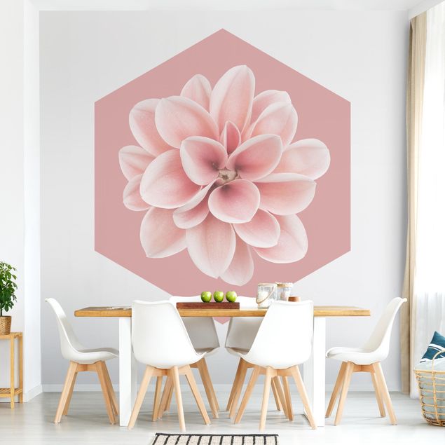 Wallpapers modern Dahlia On Blush Pink