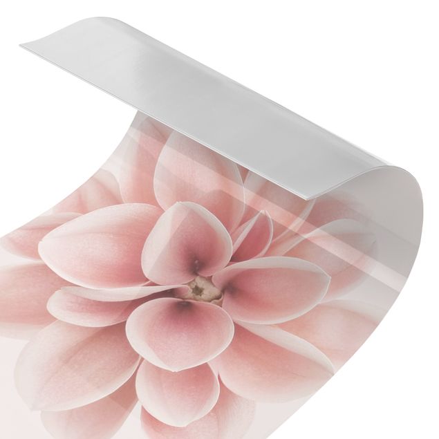 Shower wall cladding - Dahlia Pink Pastel Flower Centered