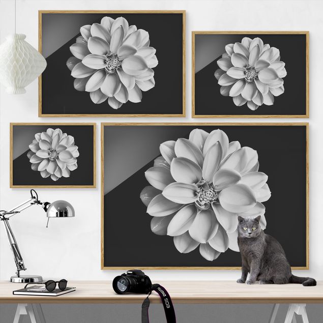 Framed wall art Dahlia Black And White