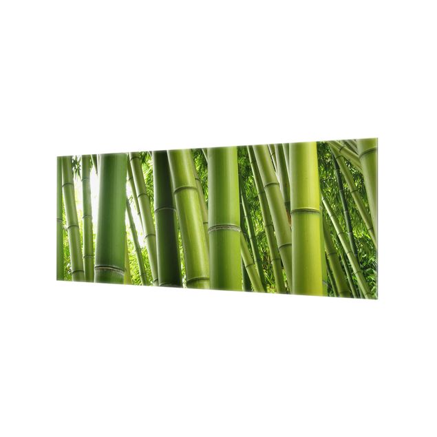 Glass Splashback - Bamboo Trees - Panoramic