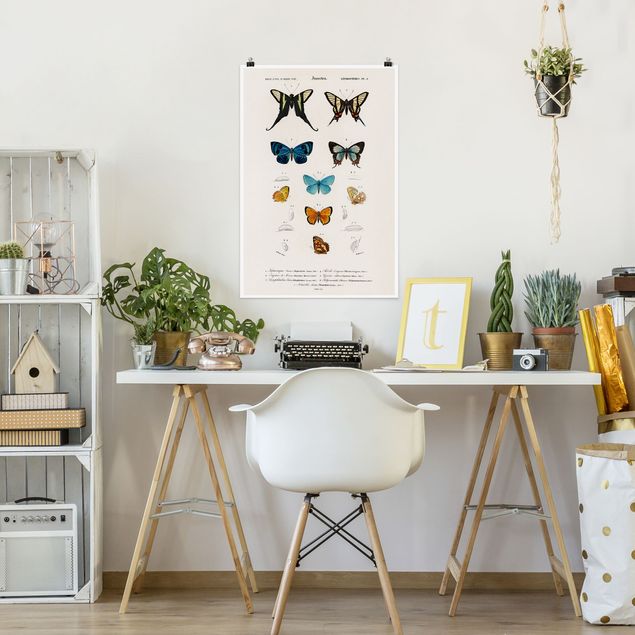 Butterfly art print Vintage Board Butterflies I