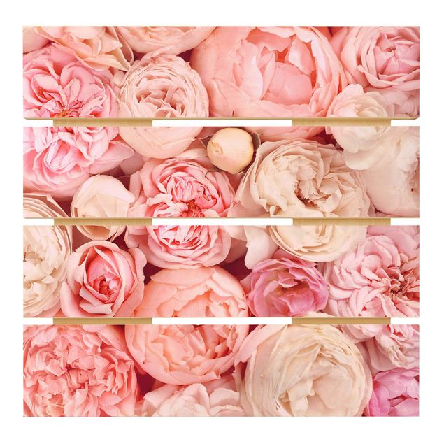 Prints on wood Roses Rosé Coral Shabby