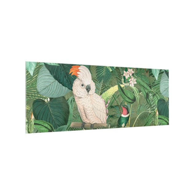 Glass art splashbacks Vintage Collage - Cockatoo And Hummingbird
