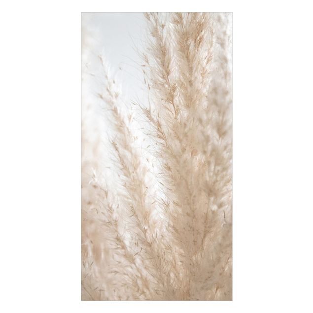 Shower wall cladding - Delicate Pampas Grass Close Up