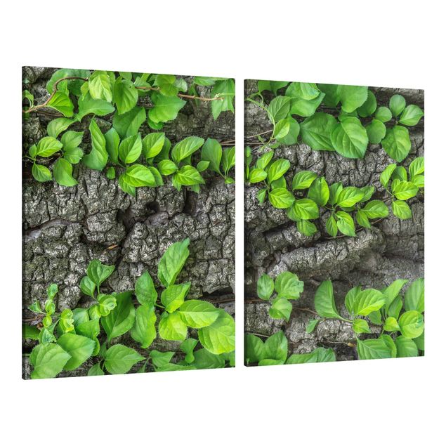 Prints floral Ivy Tendrils Tree Bark