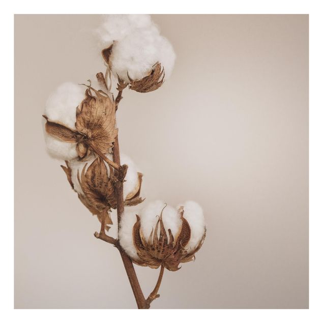 Flower print Fragile Cotton Twig