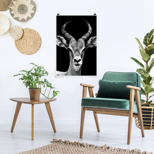 Prints animals Impala antelope black and white