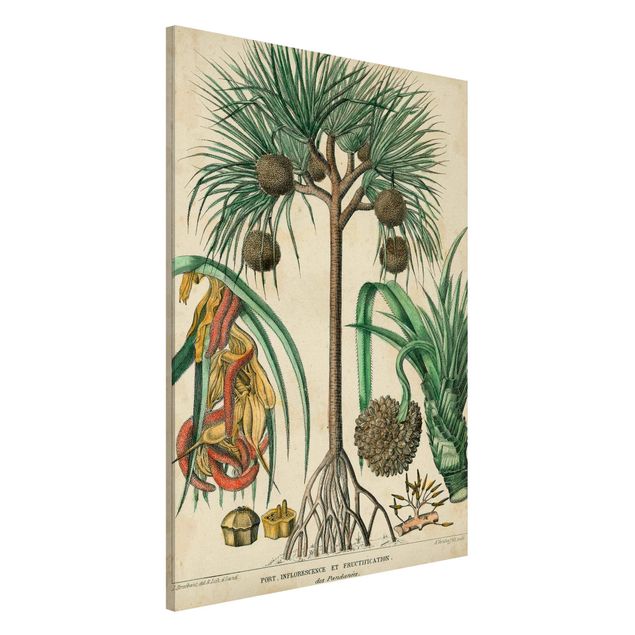 Kitchen Vintage Board Exotic Palms I