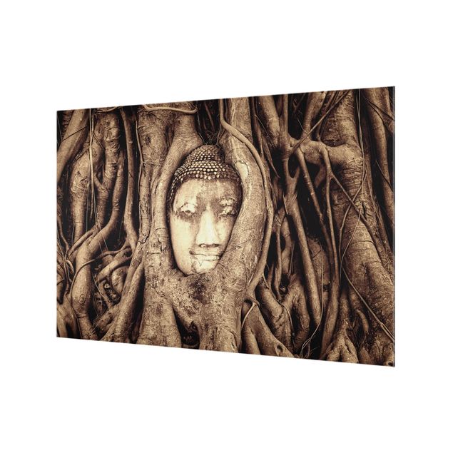 Glass Splashback - Buddha In Ayutthaya From Tree Roots Lined In Brown - Landscape 2:3