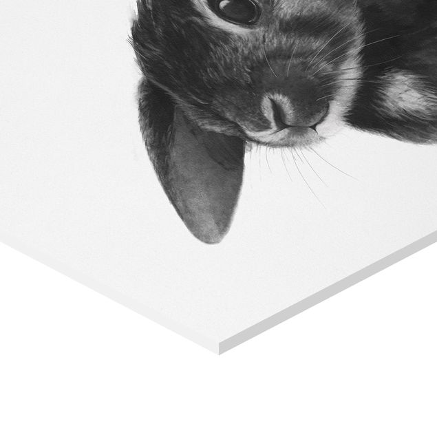 Hexagon shape pictures Illustration Rabbit Black And White Drawing