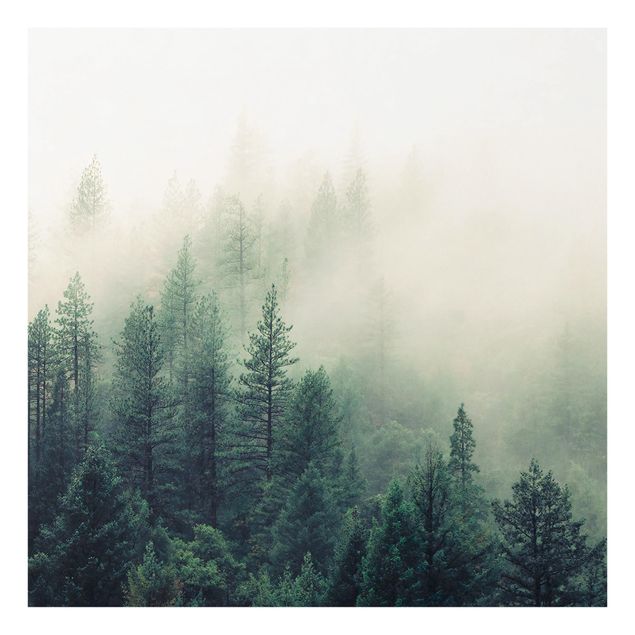 Splashback - Foggy Forest Awakening - Square 1:1