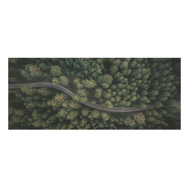 Wood prints landscape Aerial View - Forest Road From The Top