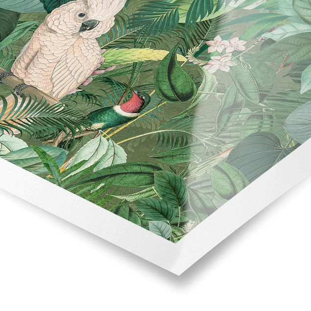 Andrea Haase Vintage Collage - Kakadu And Hummingbird