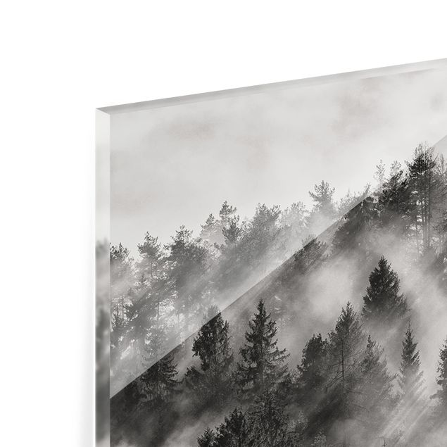 Glass Splashback - Light Rays In The Coniferous Forest - Panoramic