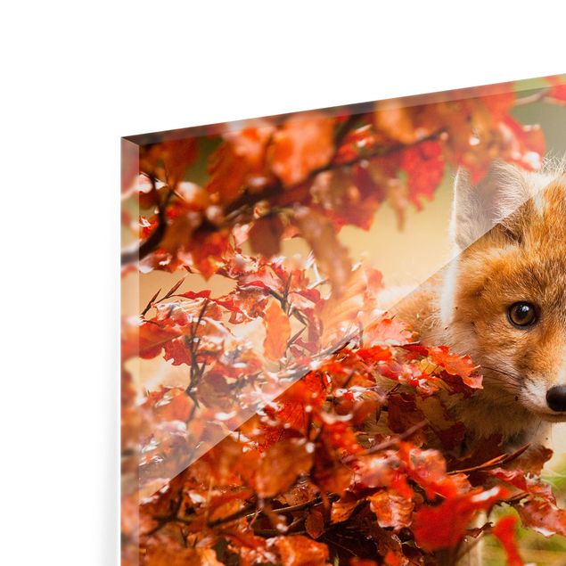 Glass Splashback - Fox In Autumn - Landscape 2:3
