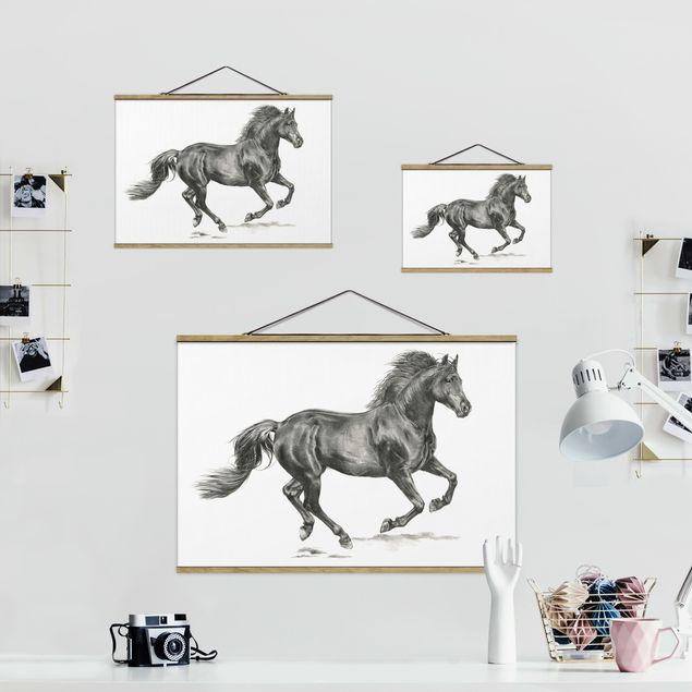 Black and white art Wild Horse Trial - Stallion