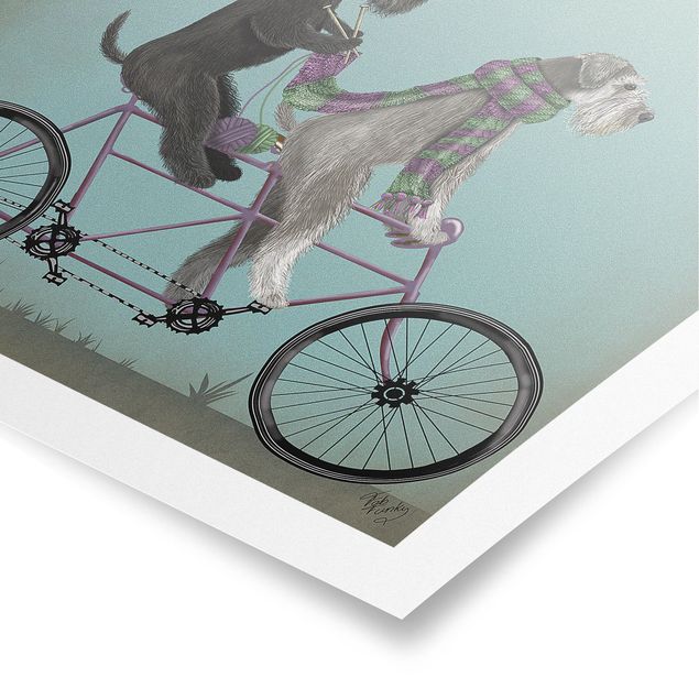Prints vintage Cycling - Schnauzer Tandem