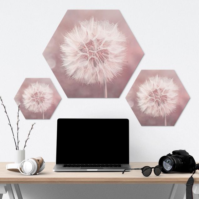 Hexagonal prints Dandelion Bokeh Light Pink