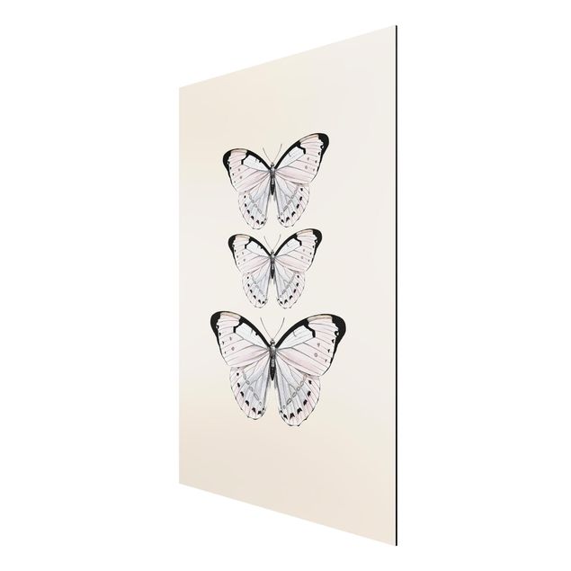 Prints animals Butterfly On Beige