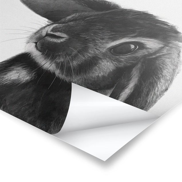 Prints Illustration Rabbit Black And White Drawing