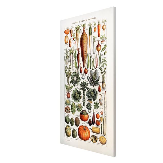 Magnet boards flower Vintage Board Vegetables
