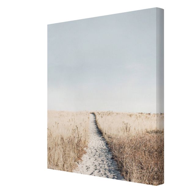 Landscape canvas wall art The path to the beach