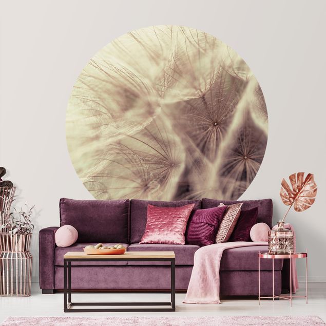 Wallpapers dandelion Detailed Dandelion Macro Shot With Vintage Blur Effect