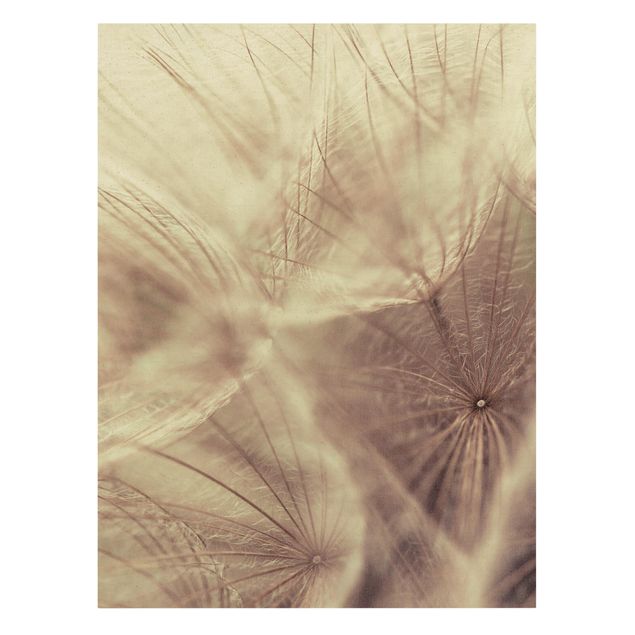Prints floral Detailed Dandelion Macro Shot With Vintage Blur Effect