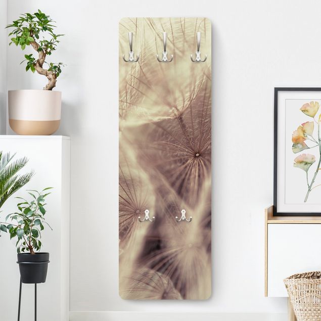 Wall mounted coat rack flower Detailed Dandelion Macro Shot With Vintage Blur Effect