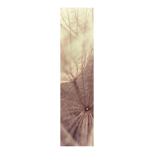 Sliding panel curtains flower Detailed Dandelion Macro Shot With Vintage Blur Effect