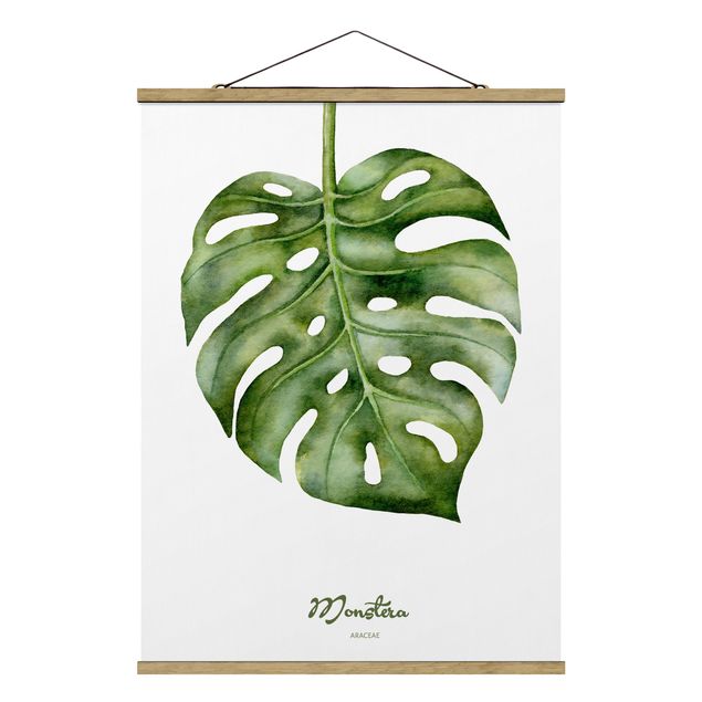 Floral picture Watercolour Botany Monstera