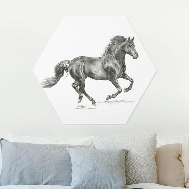 Horse prints Wild Horse Trial - Stallion
