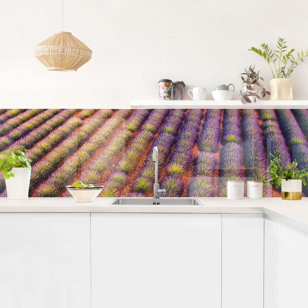 Kitchen Picturesque Lavender Field