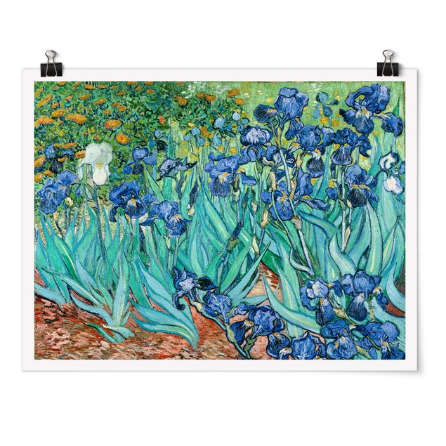 Post impressionism art Vincent Van Gogh - Iris