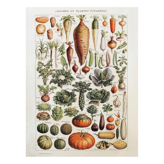 Vintage posters Vintage Board Vegetables