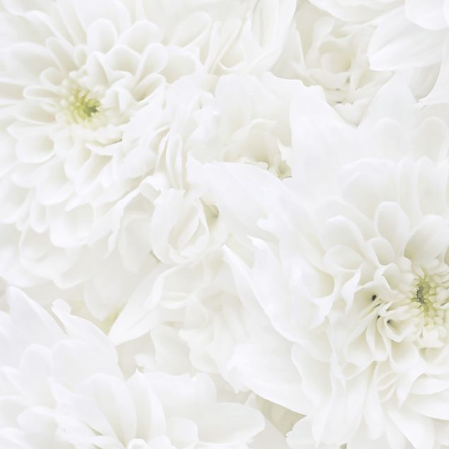 Adhesive films white Dahlia Sea Of Flowers White