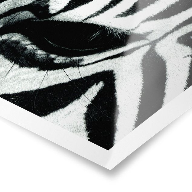 Black and white art Zebra Crossing