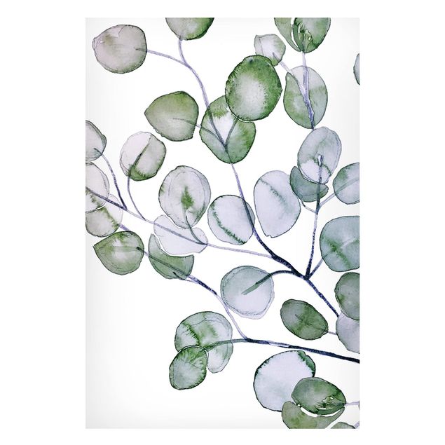 Magnet boards flower Green Watercolour Eucalyptus Branch