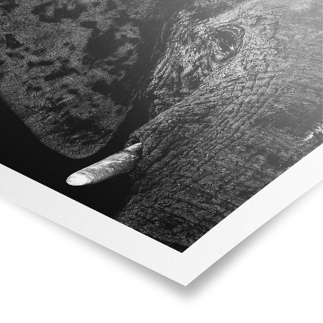 Prints modern African Elephant black and white