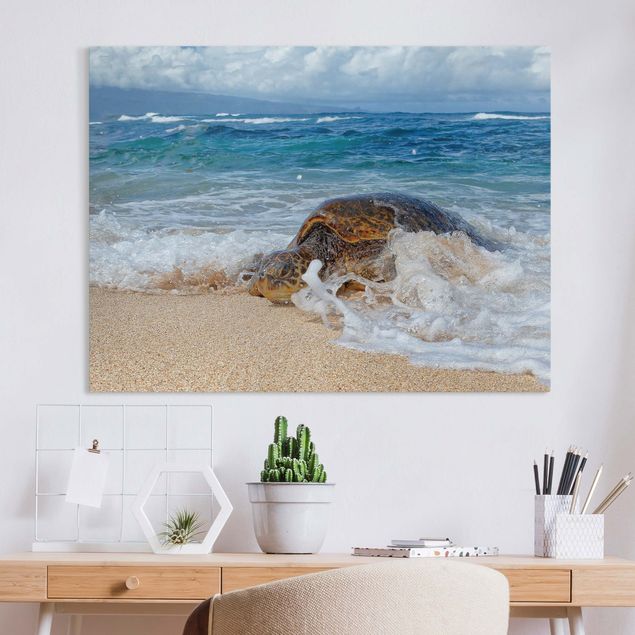 Canvas prints fishes The Turtle Returns Home