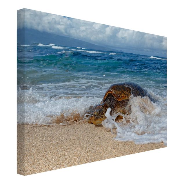 Beach prints The Turtle Returns Home