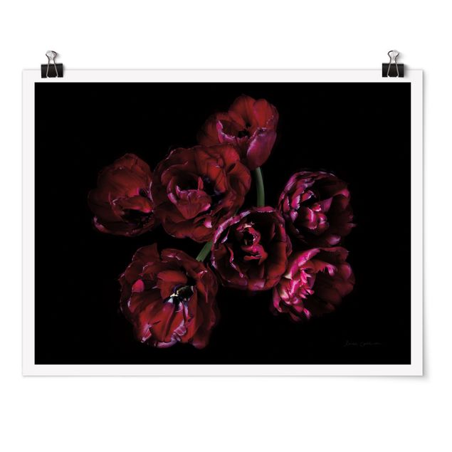 Black art prints Double tulips in red