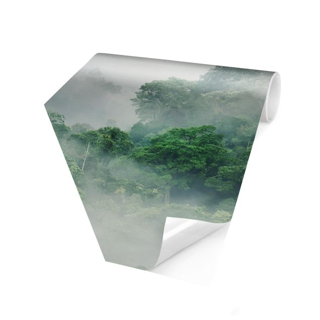 Wallpapers green Jungle In The Fog
