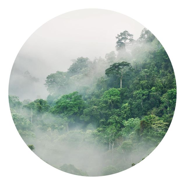 Rainforest wallpaper Jungle In The Fog