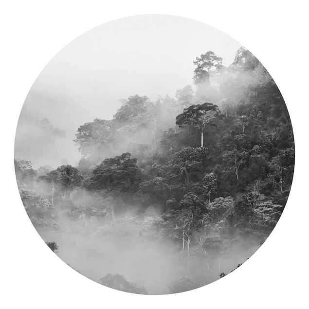 Wallpapers modern Jungle In The Fog Black And White