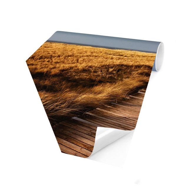 Contemporary wallpaper Dune Path on Sylt I