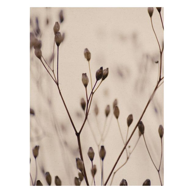 Modern art prints Dark Buds On Wild Flower Twig