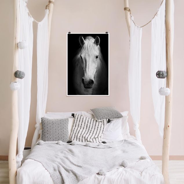 Animal wall art Dream Of A Horse