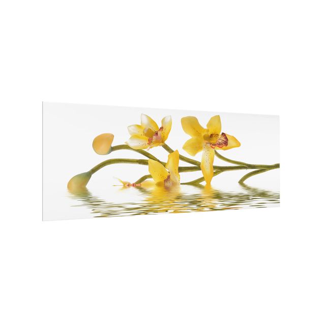 Glass splashback Saffron Orchid Waters