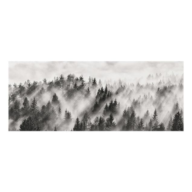 Glass Splashback - Light Rays In The Coniferous Forest - Panoramic